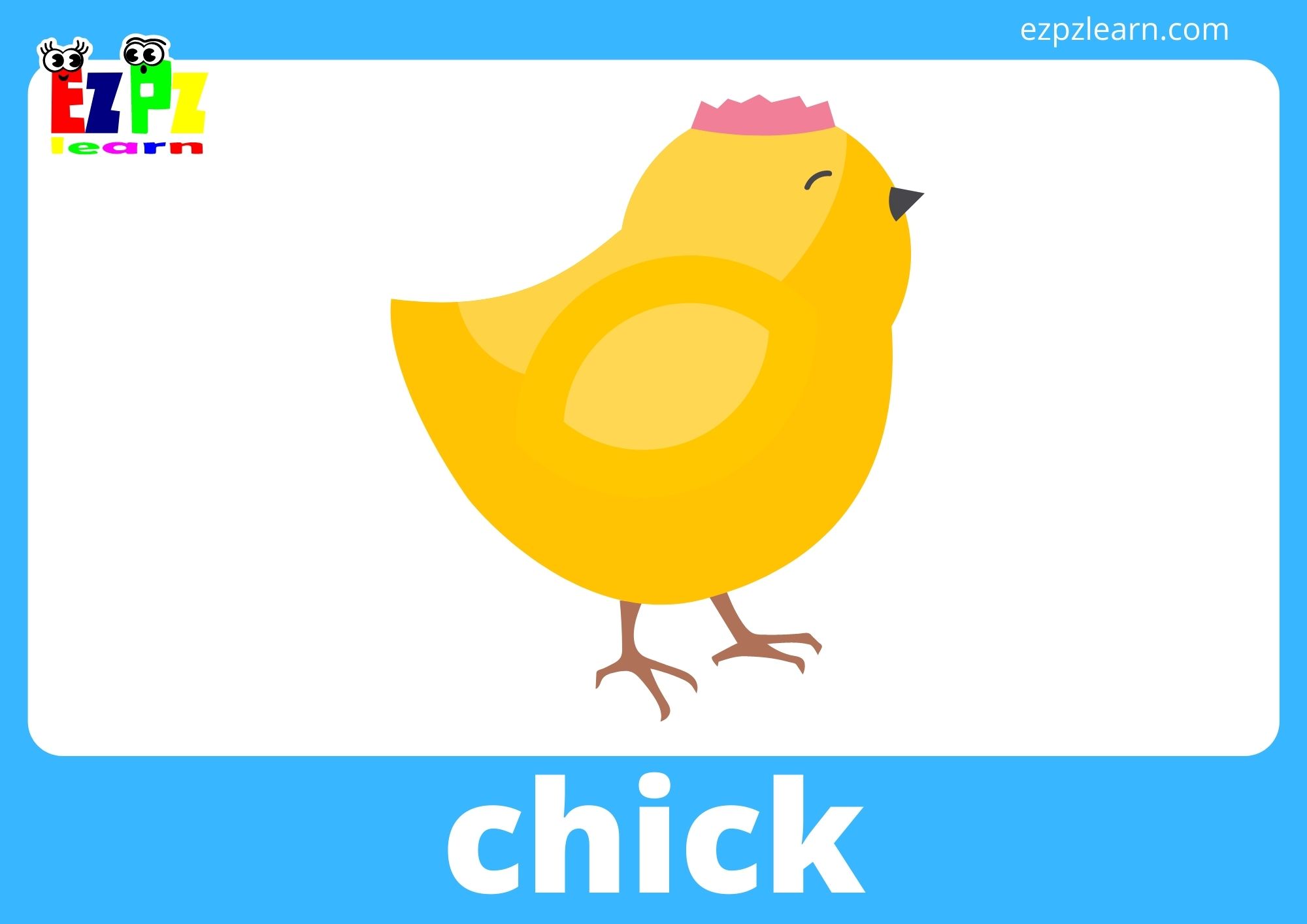 chick